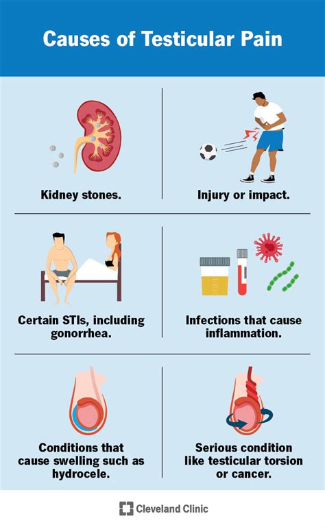 balls pulsating|Testicular Pain: Causes, Sides, Diagnosis & Treatment.